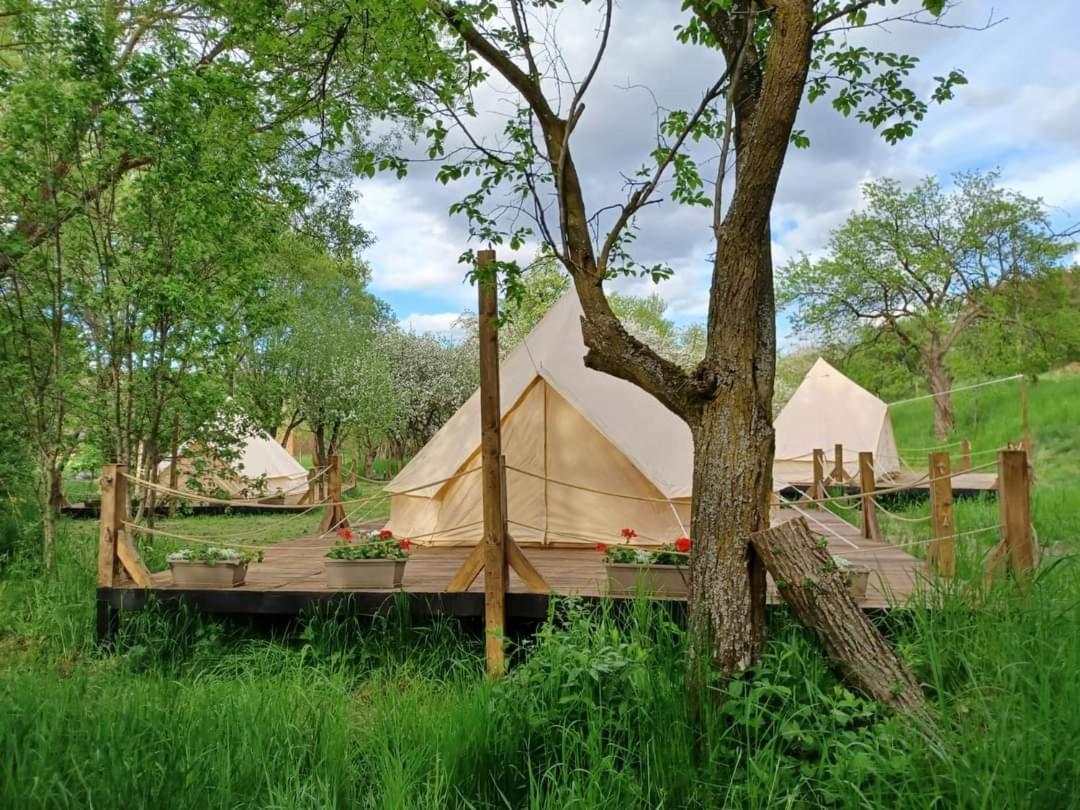 My Lake Glamping Dalnic Exterior photo