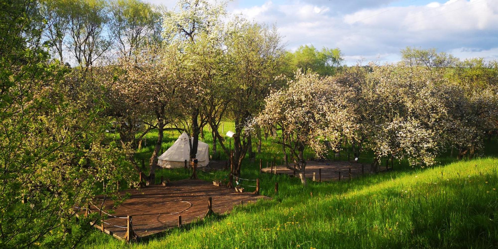 My Lake Glamping Dalnic Exterior photo